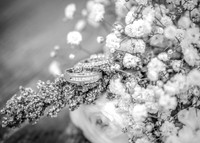 L&D BW-019