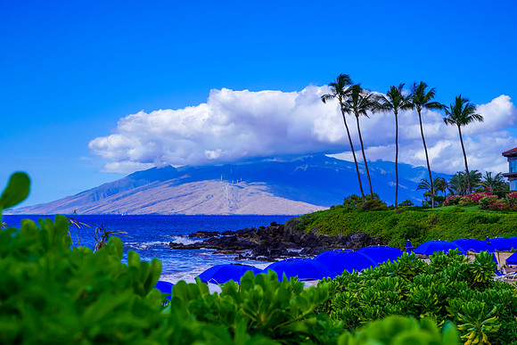 Water Pik Maui 2022-023