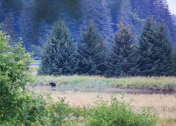 Alaska Trip 2016-189