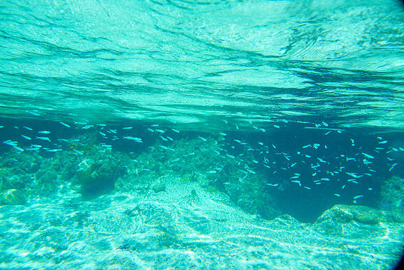 Bahamas-026