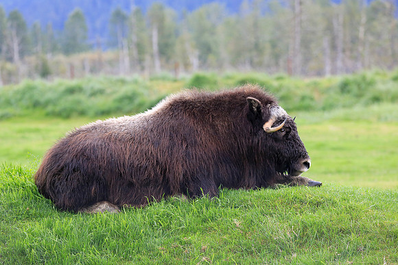 Alaska Trip 2016-304