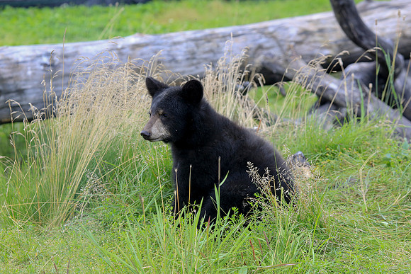 Alaska Trip 2016-312