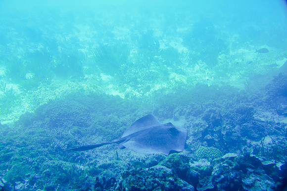 Bahamas-033