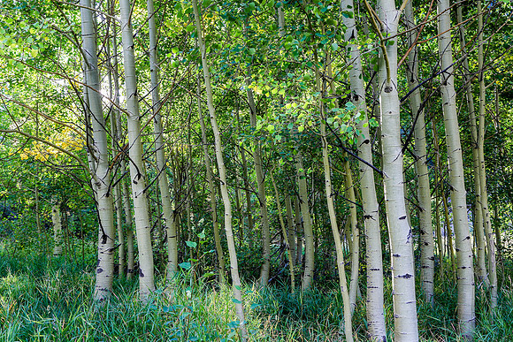 Aspen Trip 2016-546