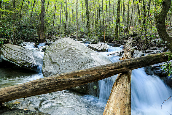 Asheville-064