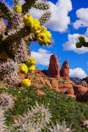 Sedona-038_1