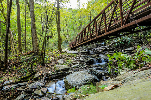 Asheville-065