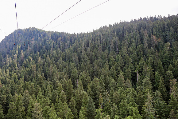 Alaska Trip 2016-162