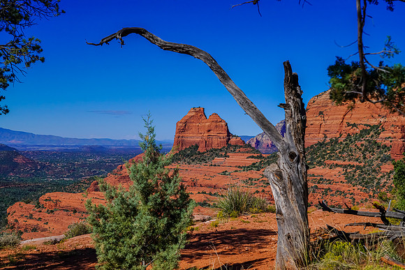 Sedona-088