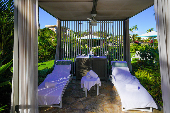 Water Pik Maui 2022-076