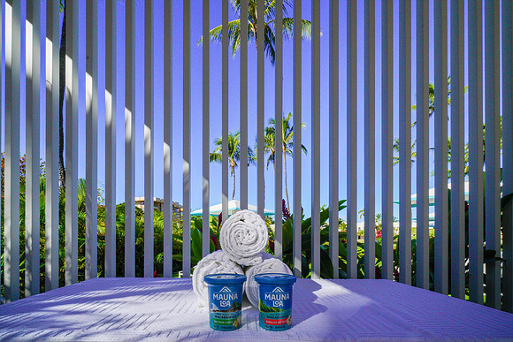 Water Pik Maui 2022-077