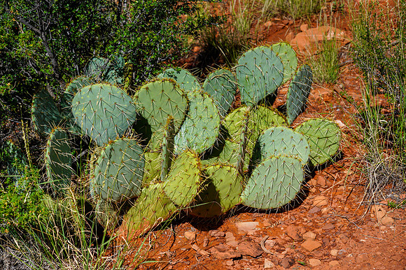 Sedona-089