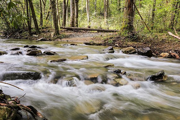 Asheville-055