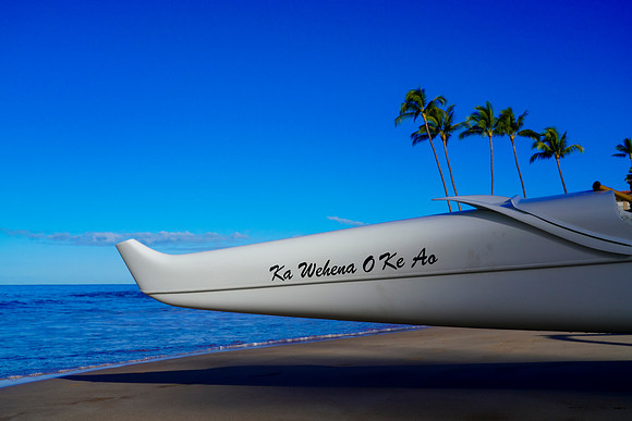 Water Pik Maui 2022-052