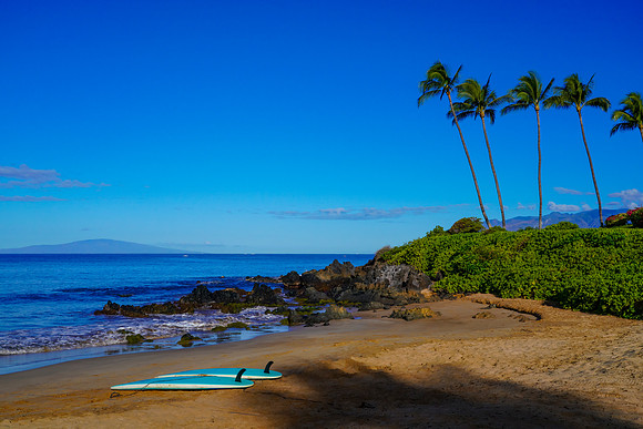Water Pik Maui 2022-047