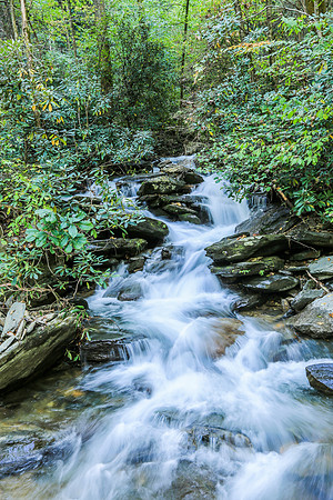 Asheville-077