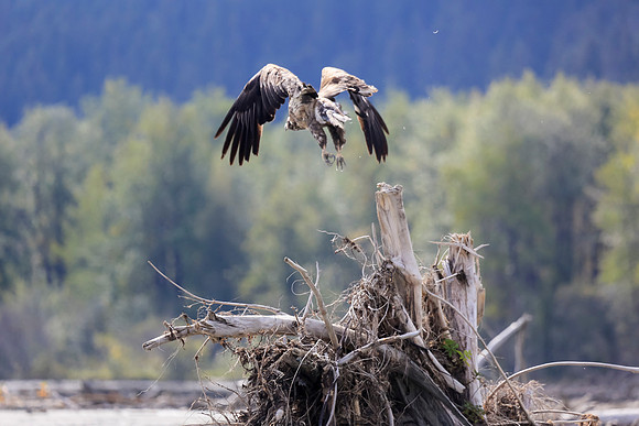 Alaska Trip 2016-274