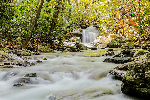 Asheville-058