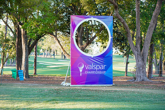 Valspar-645