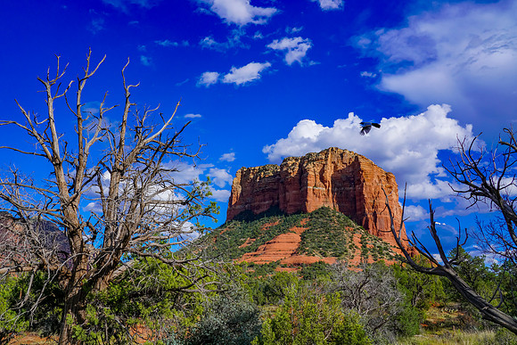 Sedona-104