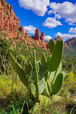 Sedona-106