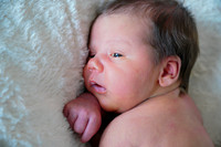 baby-004
