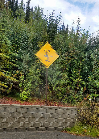 Alaska Trip 2016-431