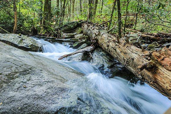 Asheville-063