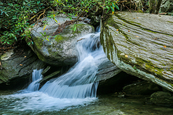 Asheville-061