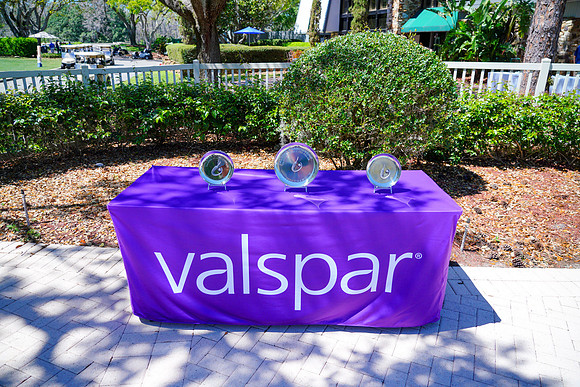 Valspar-583