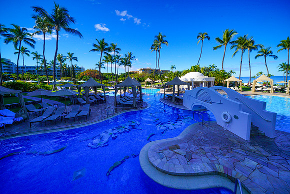 Water Pik Maui 2022-116