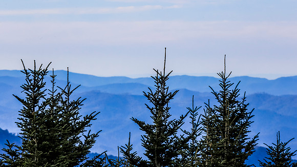 Asheville-027