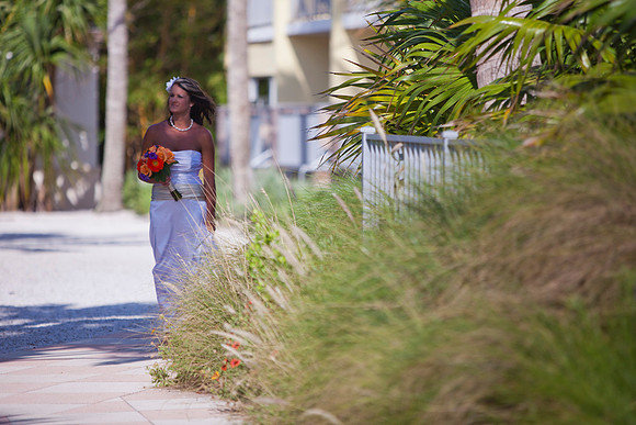 Wedding Photos