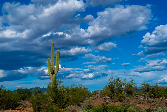 Sedona-041