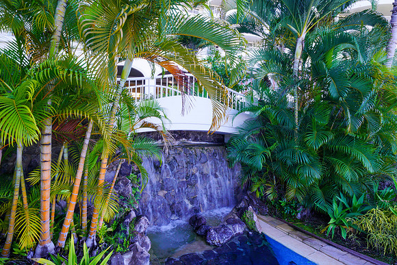 Water Pik Maui 2022-113