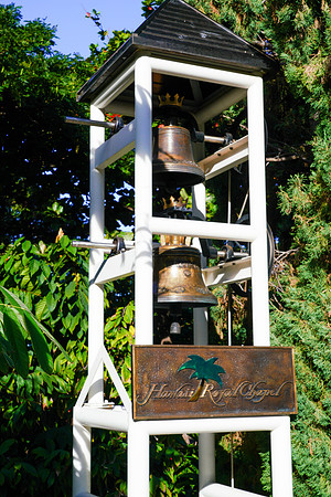 Water Pik Maui 2022-040