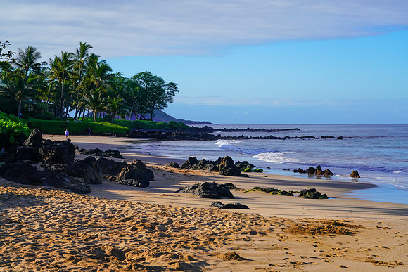 Water Pik Maui 2022-053