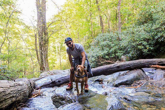 Asheville-075