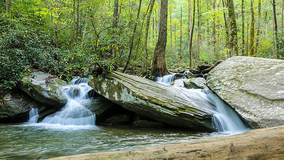 Asheville-060