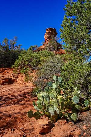 Sedona-093