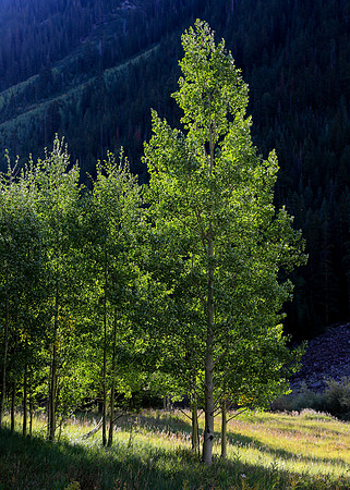 Aspen Trip 2016-550