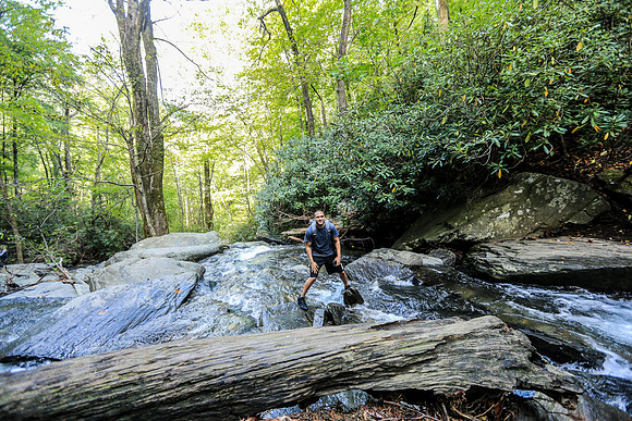 Asheville-073