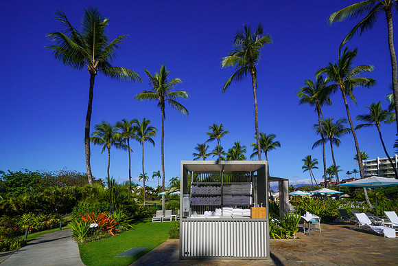 Water Pik Maui 2022-078