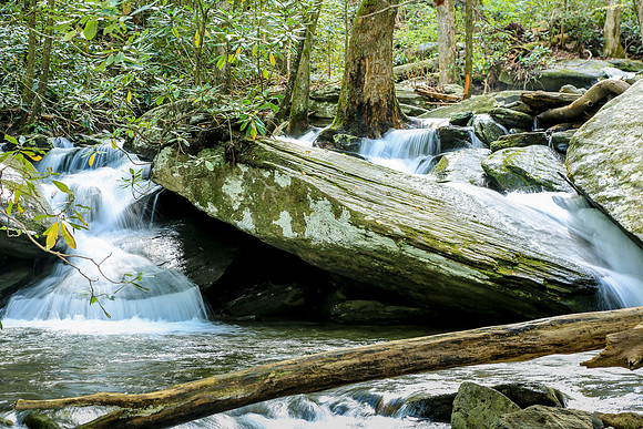 Asheville-059