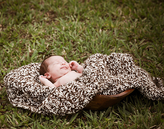 Sophie V-110