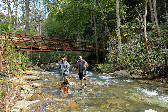 Asheville-056