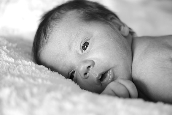 baby-031