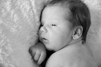 baby-034