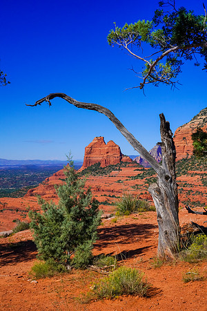 Sedona-086