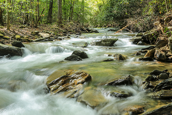Asheville-057